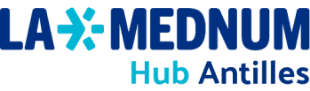 Logo Medium Hub Antilles
